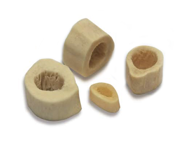 biograft
